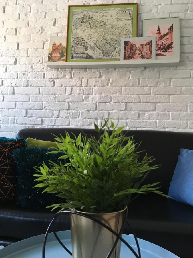 Apartament Zuzia Olštýn Exteriér fotografie